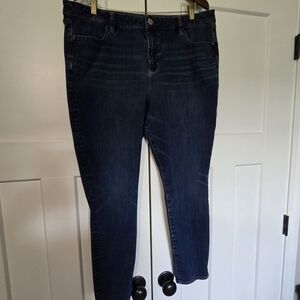 American Eagle Outfitters Blue Skinny Jeans